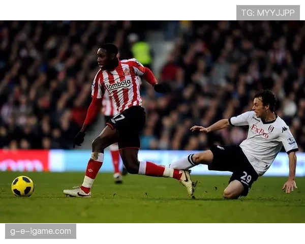 桑德兰黑猫军团新赛季表现稳健,全力冲击英冠荣耀 桑德兰黑猫军团新赛季表现稳健,全力冲击英冠荣耀