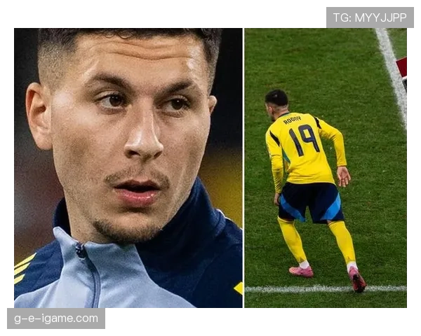 瑞典青年队潜力